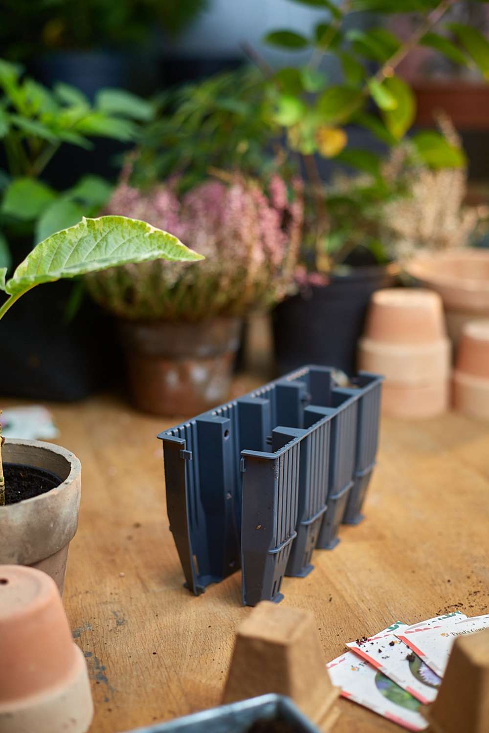 Odlingsset, 28 djupa celler